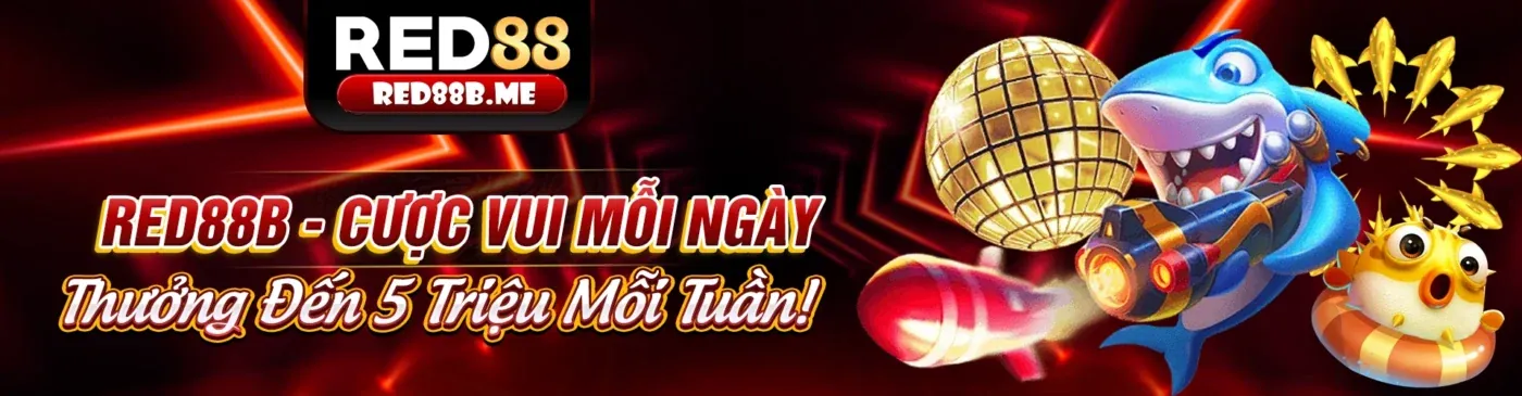 Hướng dẫn cá cược thể thao trực tuyến cùng YY88